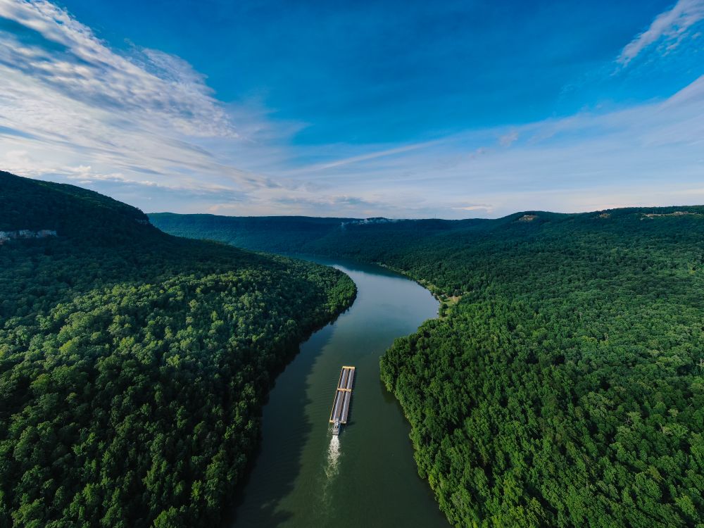 Vista aérea de un río entre la selva tropical